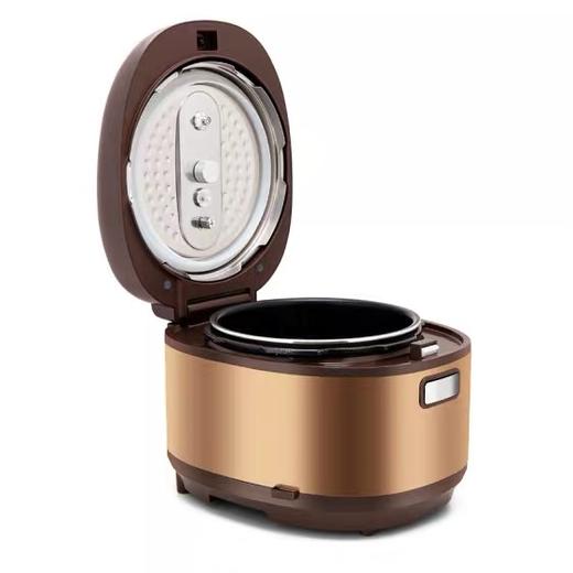 奔腾电压力锅LN546  5L 商品图1