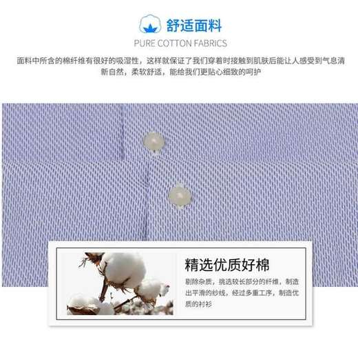 蝶矢 长袖 衬衫 商品图3