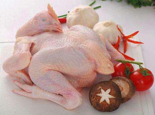 白羽鸡 商品图0
