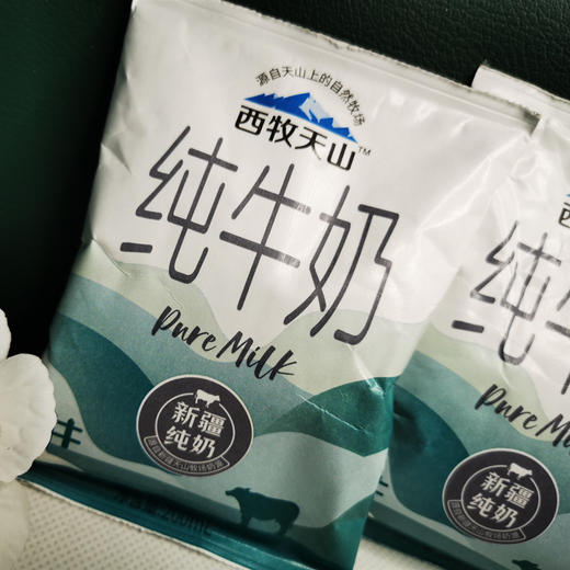 西牧天山纯牛奶 真正好喝的牛奶 每天一杯 源于北纬45度的优质好奶