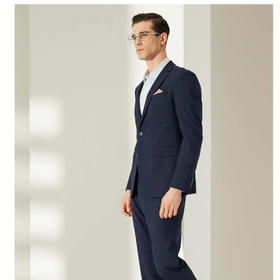 南4雅戈尔藏青格纹可机洗套系