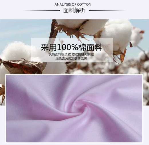 蝶矢 长袖 衬衫 商品图3