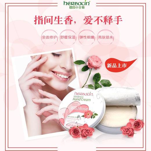 德国贺本清护手霜 商品图2
