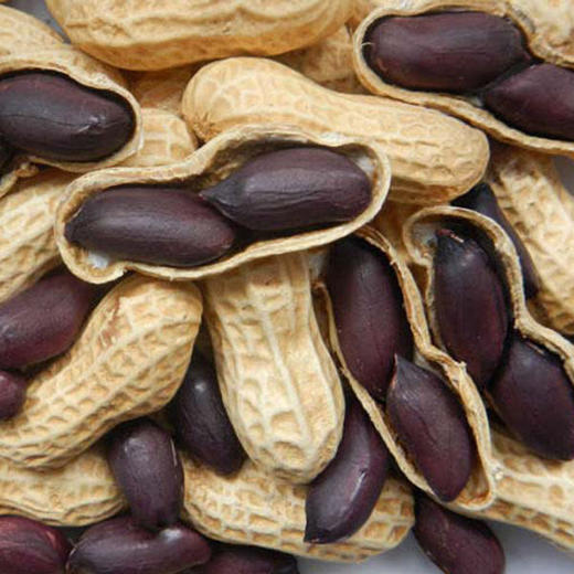 新货 富硒营养黑花生 黑花生米1斤1袋抽空装原产地黑花生 商品图2