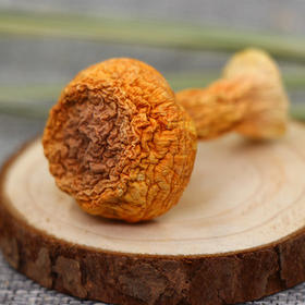 十方田 姬松茸215g/袋