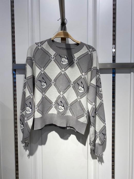 TPN动物纹案毛衣 商品图0