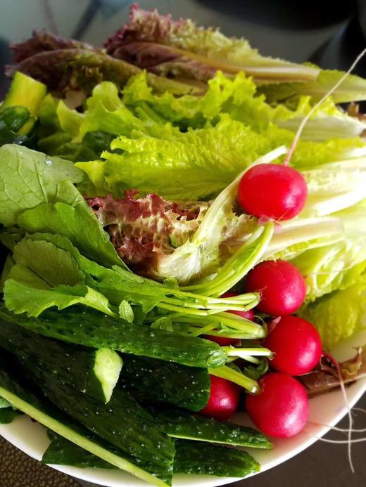 妈妈菜篮有机蔬菜月卡（每月6次配送每次6-8种蔬菜总重约5斤） 商品图4