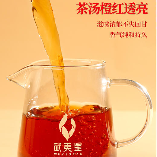 武夷星大红袍AM2500礼盒装192g 武夷岩茶大红袍茶叶送礼佳品 商品图3