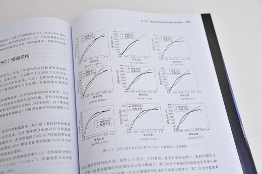 镁合金复合变形理论与应用 王忠堂 镁合金的性质应用技术书籍 镁合金性质到变形理论镁合金复合变形技术镁合金压缩变形理论知识书 商品图2