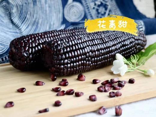乌粒金  花青甜 黑玉米  糯甜 商品图0