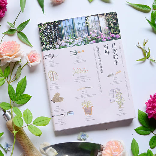 月季新手百科 后藤绿 著 养花 日本玫瑰女王 新手养花 园艺 植物艺术 新手入门 图文展示 中信出版社图书 正版 商品图4