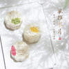 还原古法手工制作的宋月月饼  40g*6个/盒（红茶+火腿各3个） 商品缩略图0