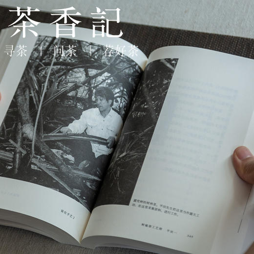 茶香记  《留住手艺Ⅱ》盐野米松   “采写第一人”  传统手艺人 纪实文学 手艺人生 商品图3