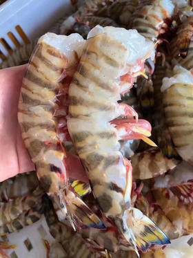 千万别去菜场买海鲜了，直接预约海岛姑娘的渔船！