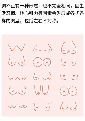 什么是分胸型设计？一句话告诉你