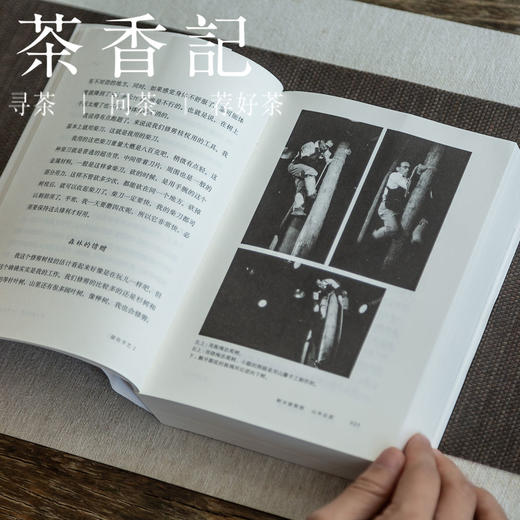 茶香记  《留住手艺Ⅱ》盐野米松   “采写第一人”  传统手艺人 纪实文学 手艺人生 商品图1
