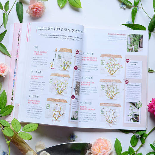 月季新手百科 后藤绿 著 养花 日本玫瑰女王 新手养花 园艺 植物艺术 新手入门 图文展示 中信出版社图书 正版 商品图5