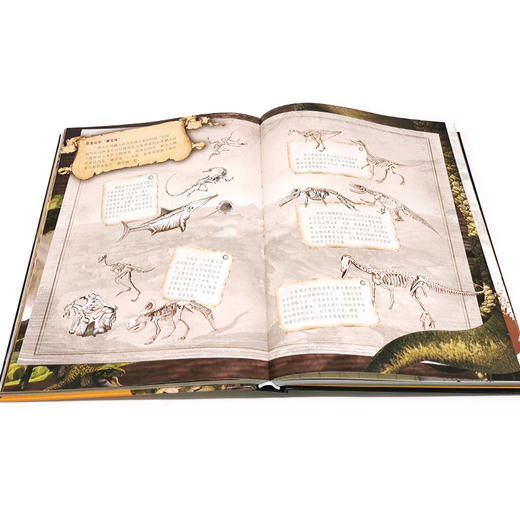 儿童恐龙大百科 恐龙书籍3-6-12岁一二三四五六年级恐龙知识大百科中小学生恐龙书侏罗纪恐龙世界恐龙王国册手绘图册书籍 商品图1