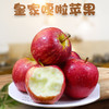 【顺丰直邮】甘肃精品皇家嘎啦苹果 5斤/10斤精品彩箱装 新鲜当季脆甜 商品缩略图0