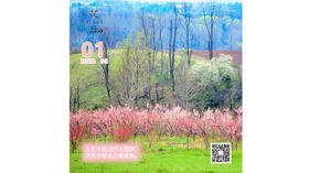 【花丘•心语】