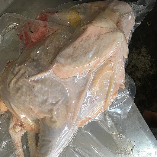 藏区特产藏香鸡 藏黑母鸡 滋补佳品 商品图3