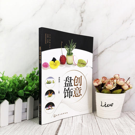 创意盘饰 罗家良 食品雕刻果蔬雕刻入门书籍 盘饰创意设计和制作方法 盘饰常见原料应用切切摆摆水果雕切果酱画技法糖艺棒棒糖盘饰 商品图4