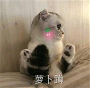 测试积分3 商品图0