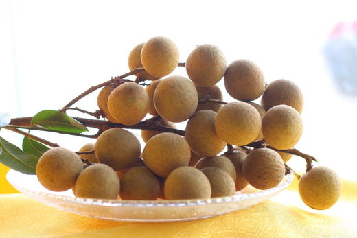 【云燕优品】泸县老树桂圆新鲜龙眼特优果5斤特优顺丰 商品图5