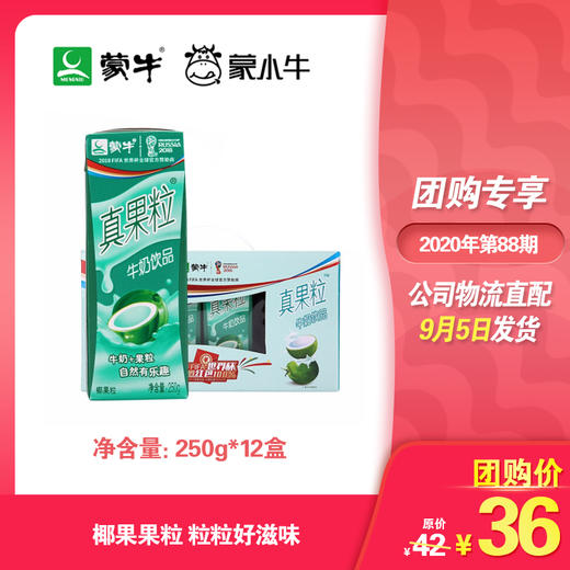 真果粒椰果粒250g×12盒 商品图0