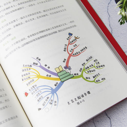 少儿思维导图（全3册）全彩版 附赠精美卡片   6-14岁  阅读法+学习法+记忆法 商品图6