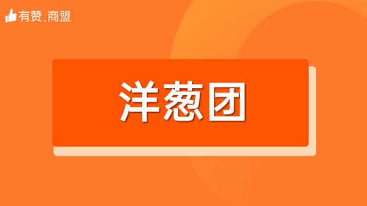 【洋葱团】招商 商品图0