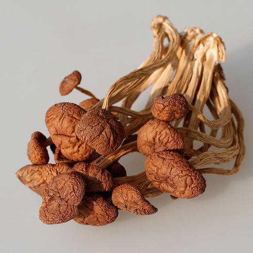 林中宝茶新菇 脆嫩可口 喝山泉水长大 150g袋装 全国非偏远地区包邮 商品图1
