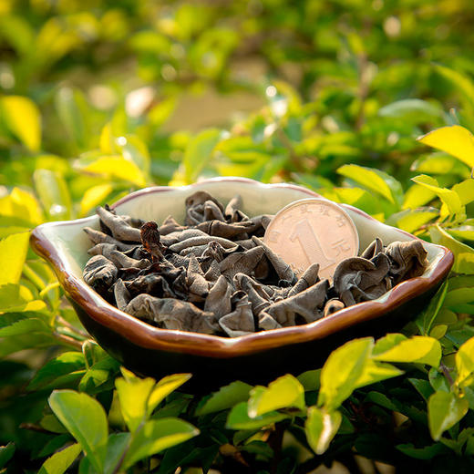 林中宝黑木耳 胶质满满肉质肥厚 Q弹爽口 朵朵脆嫩光滑 全国非偏远地区包邮 商品图3