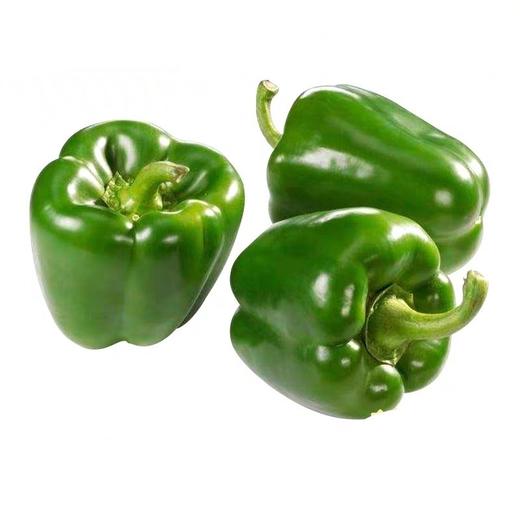 青圆椒500g/份 商品图0