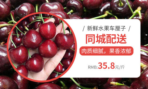 测试笙歌 商品图0