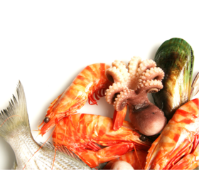  精心搭配开袋即可烹饪，小白也能变大厨！让吃海鲜变简单！ 