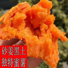 临泉西瓜红红薯番薯10斤