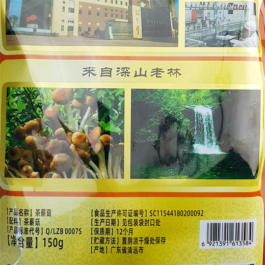 林中宝茶新菇 脆嫩可口 喝山泉水长大 150g袋装 全国非偏远地区包邮 商品图4