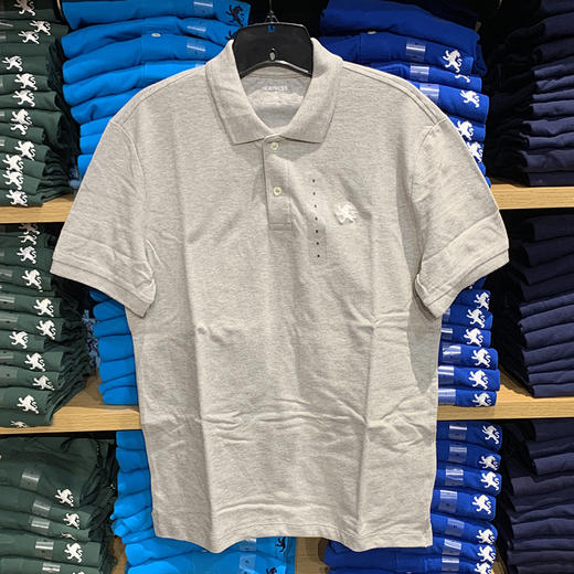 20春夏新款  EXPRESS  男士小狮子logo刺绣短袖POLO衫 商品图0