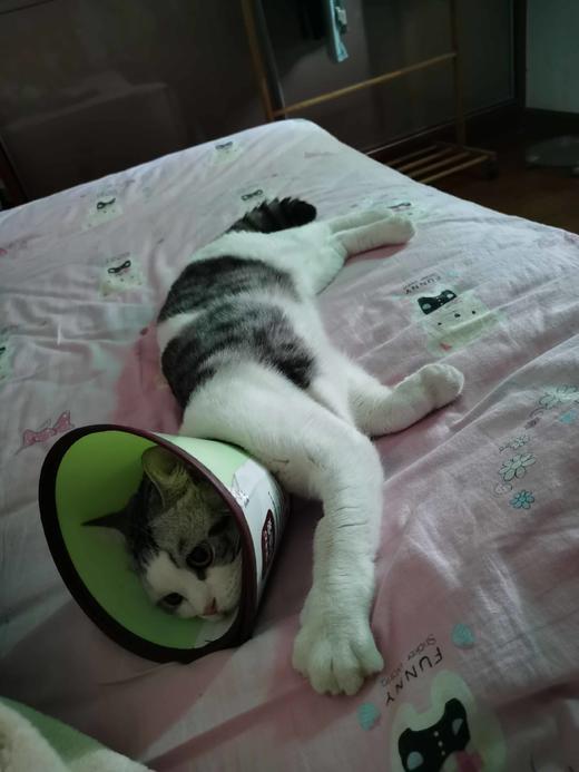 测试商品图片 商品图0