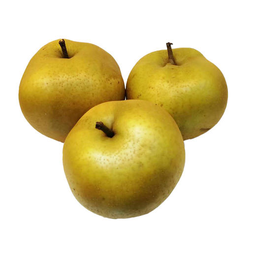 金刚酥梨 500g/份 商品图0