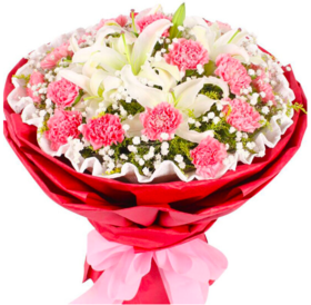 教师节康乃馨鲜花速递 19朵粉色康乃馨