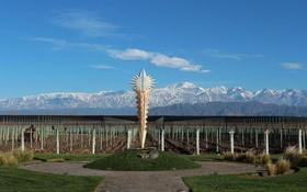 马背上的骑士精神—高乔骑士马尔贝克干红