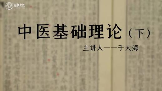 于大海教授讲中医基础理论（下） 商品图0
