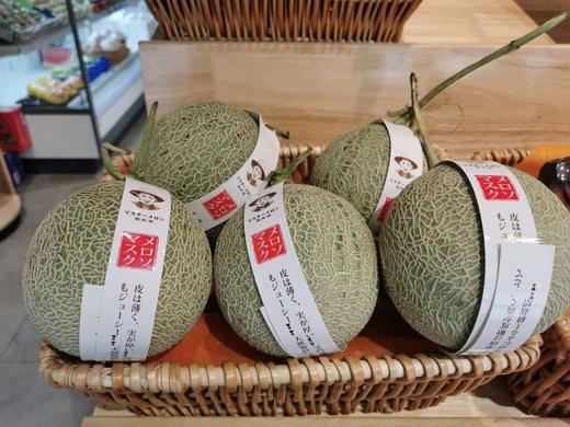 网纹瓜(长春) 商品图0