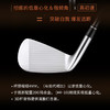 【HONMA747男士铁杆组】HONMA高尔夫球杆男日本制TW747系列 铁杆组 #4-10号铁 7只 碳素杆身/钢杆身  P/V/VX 自由搭配 商品缩略图2