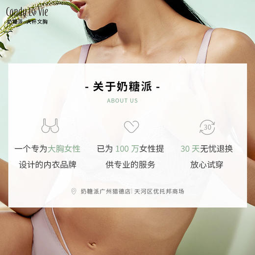 奶糖派紫灰微甜超薄承托全罩杯蕾丝夏季透气大码内衣文胸大胸显小侧收 商品图4