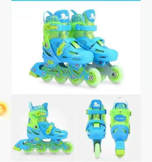 美洲狮旱冰鞋 商品图0