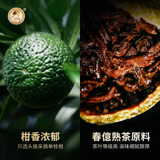 【双11预售】澜沧古茶2020年茶妈妈小青柑12颗礼盒装新会正宗小青柑陈皮普洱茶 商品图2