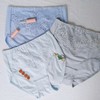 89095(二枚组)高腰蕾丝三角裤（混色） 商品缩略图3